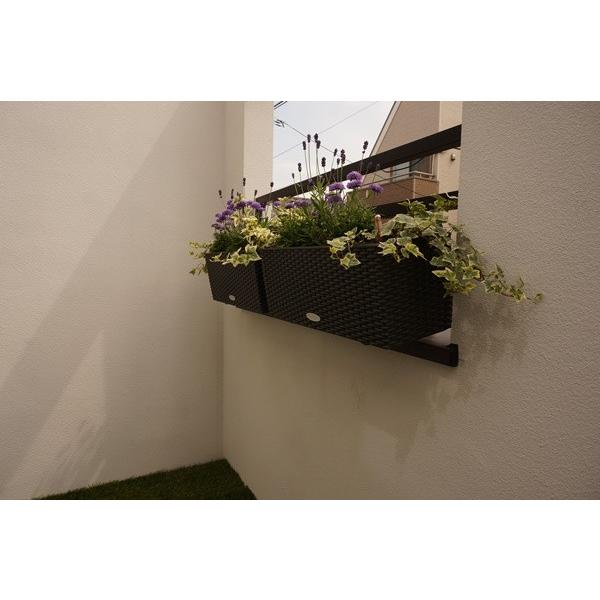 ハンギングプランター50サイズ 底面灌水機能 天然軽石付き 鉢 おしゃれ 壁掛け 吊り下げ 屋外 ベランダ Buyee Buyee 日本の通販商品 オークションの代理入札 代理購入