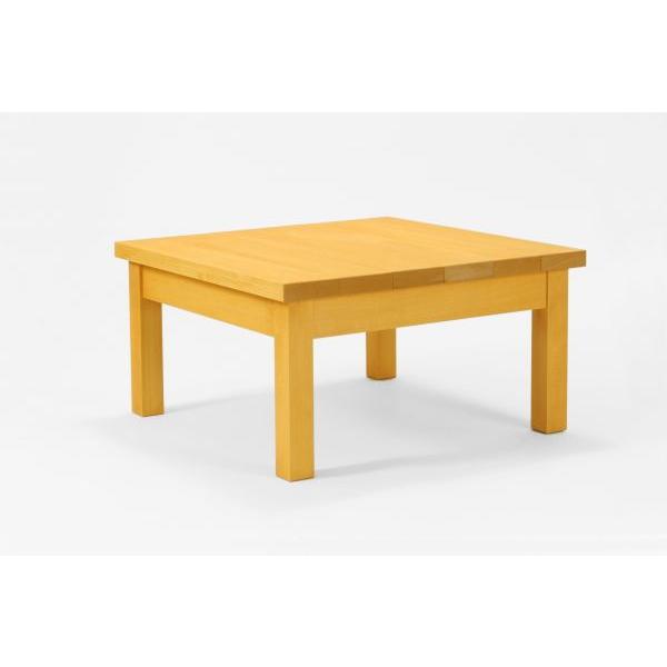 ̃K[fe[u 60cm×60cm×]30`40cm pCF C VRؐ [e[u x_ { i