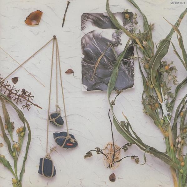 真島昌利(THE BLUE HEARTS,THE HIGH-LOWS) / 夏のぬけがら 1989.11.21