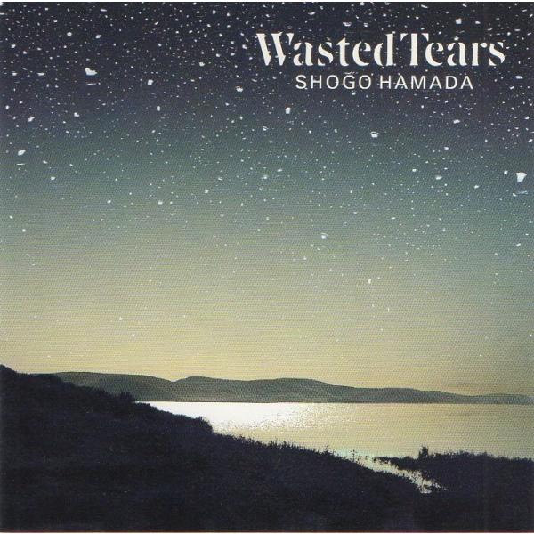 浜田省吾 / Wasted Tears ウェイステッド・ティアーズ 1989.09.01