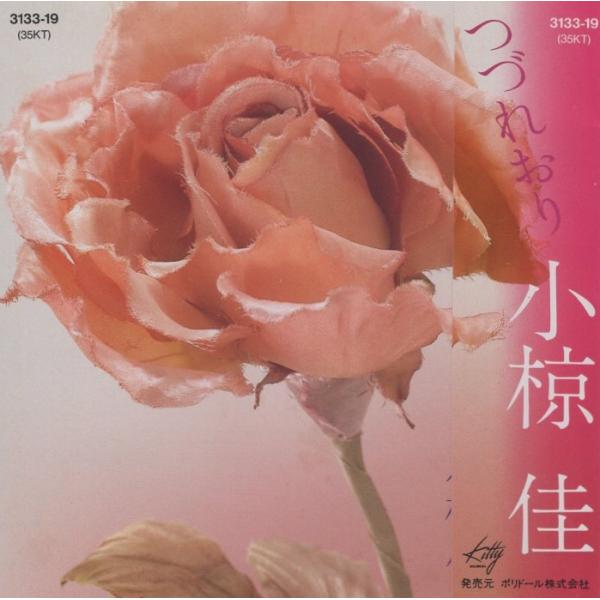 windcolor-y-shopping_f29-3133-19