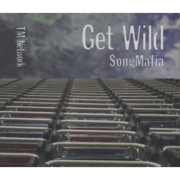 TM NETWORK TMネットワーク / GET WILD SONG MAFIA 発売30周年企画