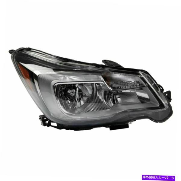 ホンダハロゲンヘッドライト windera_usdm-4273-289
