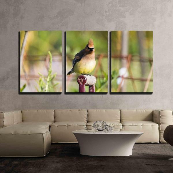 パネルアート 壁 26-シダーワックスウィングクローズアップ