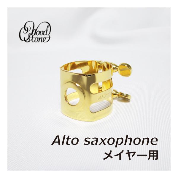 windforest_2031210024133mey