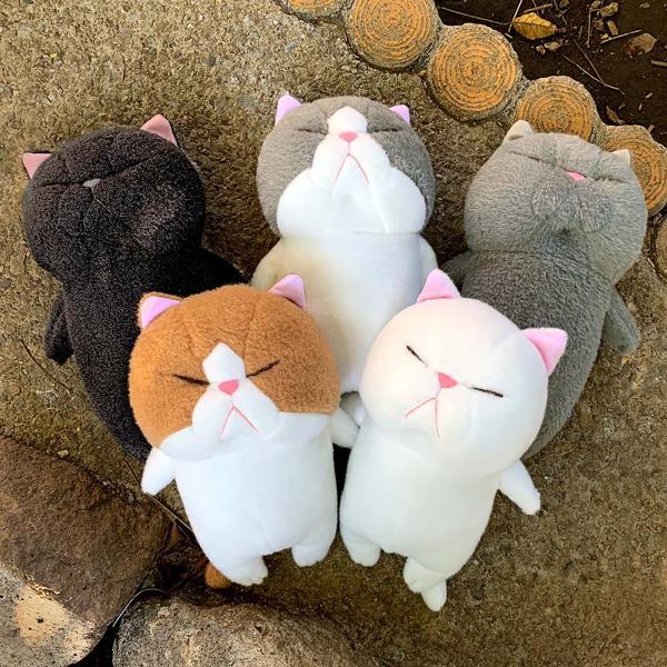 ぼうみたいなねこ ぬいぐるみ 猫 Lサイズ内藤デザイン研究所 へそ天 送料別 子猫 動物 どうぶつ かわいい キッズ 誕生日 プレゼント ぼうねこ