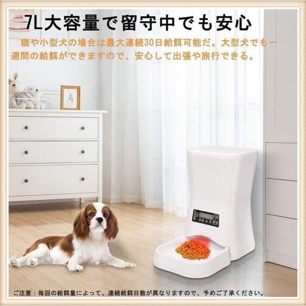 中級 フルーティー 導体 自動 餌 やり 機 自作 うさぎ Aska Traffic Service Jp