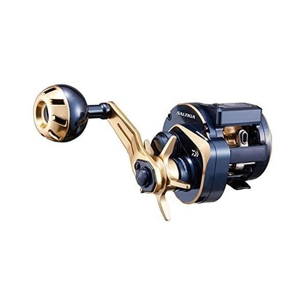 DAIWA（釣り） ダイワDAIWA 21ソルティガSALTIGA IC 100 右