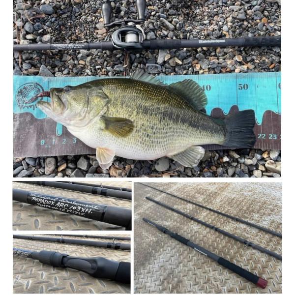 スタジオコンポジット パラドックスPARADOX ARC 10.3 individual