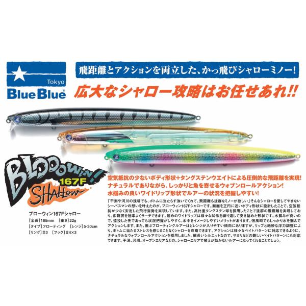 BLUE ブルーブルーBLUEBLUE ブローウィンBLOOOWIN! 167F シャロー