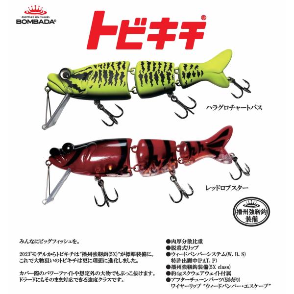 ボンバダアグア　トビキチ限定カラー BOMBADA ボンバダアグア トビキチ 2023年カラー : ウインズ