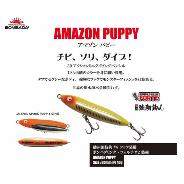 ⑭ルアーボンバダアマゾンスプークパピーラッキークラフトセット