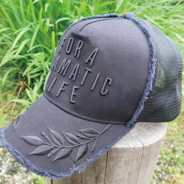 チェスト114 パーカー　キャップ windsweb2_chest114-2020cap-bkbk