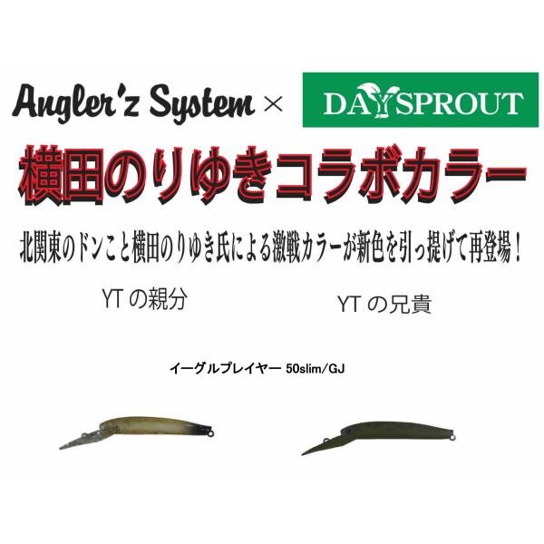 windsweb2_daysprout-