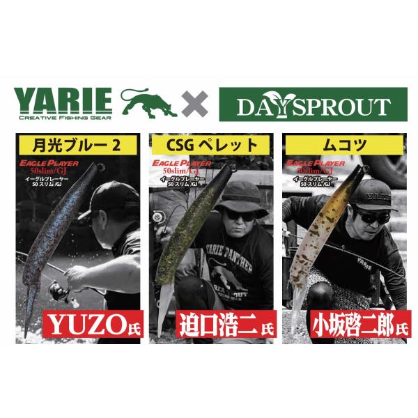 windsweb2_daysprout-