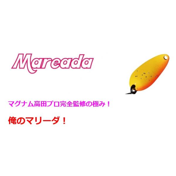 DAYSPROUT（ディスプラウト） マリーダMareada 1.6g : ウインズヤフー