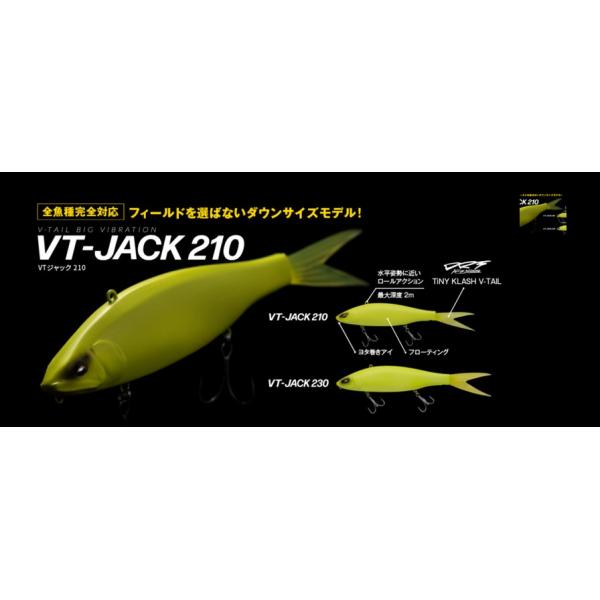 Fish Arrow（フィッシュアロー） X DRT VTジャックVT-JACK 210