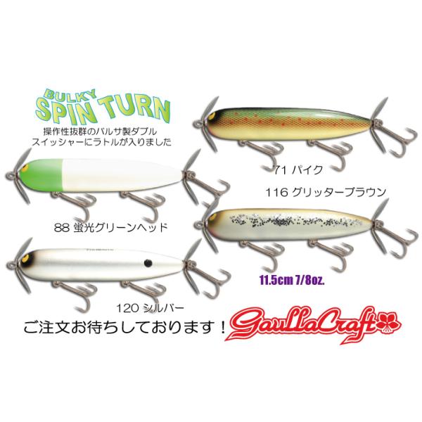 windsweb2_gaura-bspint-2022