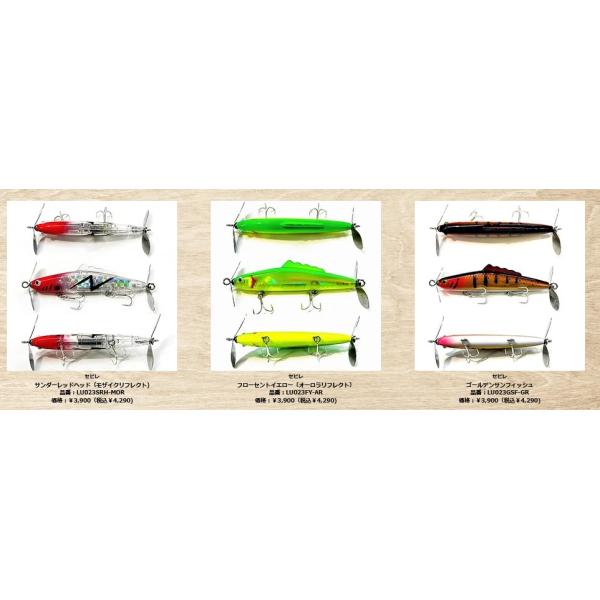 windsweb2_lineslack-sebire_1_d_20240427123822