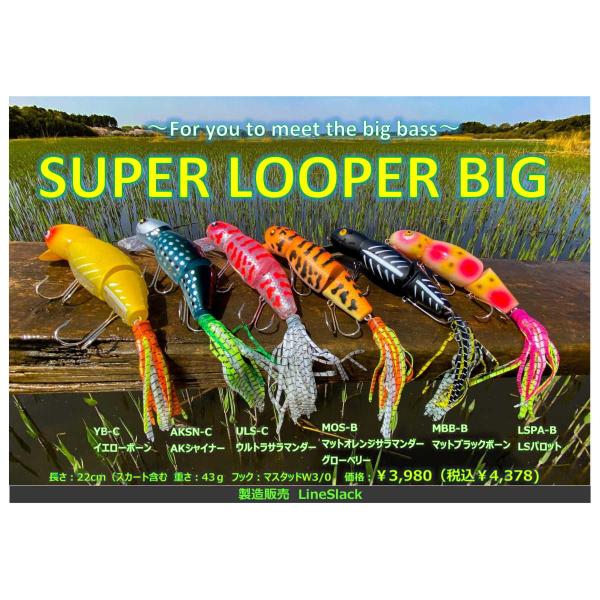 ラインスラック スーパールーパービッグ ラインスラック スーパールーパーBIG 2021年カラー : ウインズヤフー店