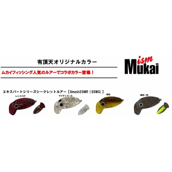 windsweb2_mukai-smash25mr-