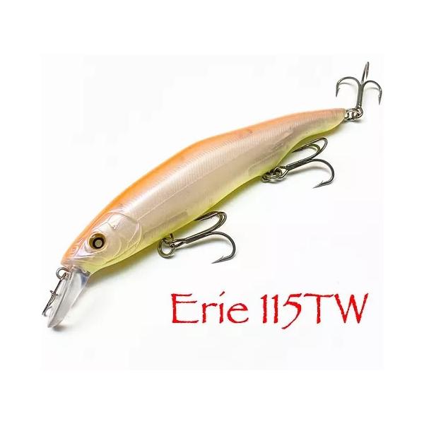 ニシネルアーワークス　エリー115 nisine-Erie115SD-005.jpg