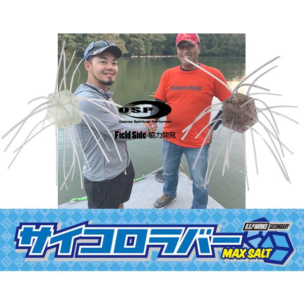 ある一定の条件下や使用方法において、オリジナルの性能を上回るセッティングにチューニングしたのがO.S.P WORKS SECONDARY。サイコロラバーMAXSALTはノーシンカーでの使用時にサイコロラバーNONSALTでは攻略できない深い...