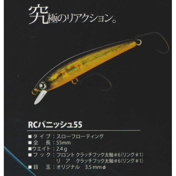 windsweb2_rodeo-rcpanis55sp