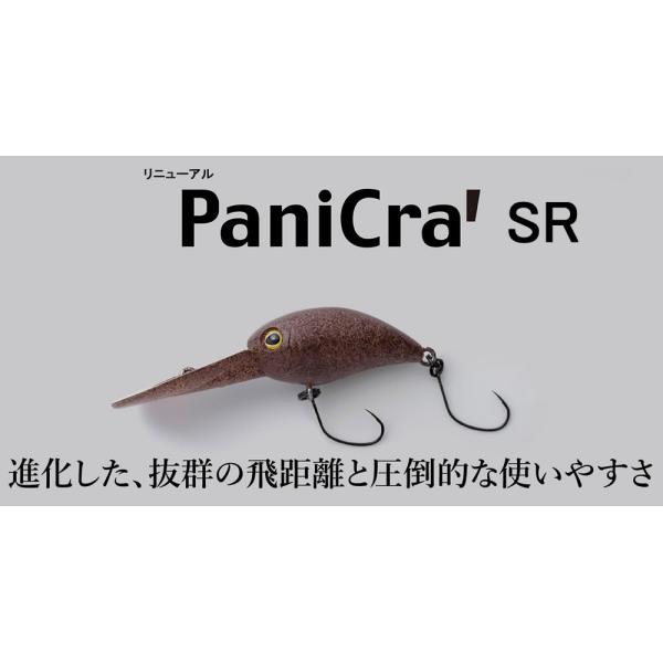 レア‼️ BLANK LURES バスカヴィル パラノイア ボッコム好きの方へ