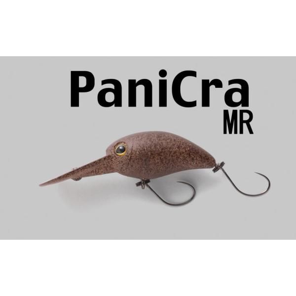 windsweb2_timon-panikuramr