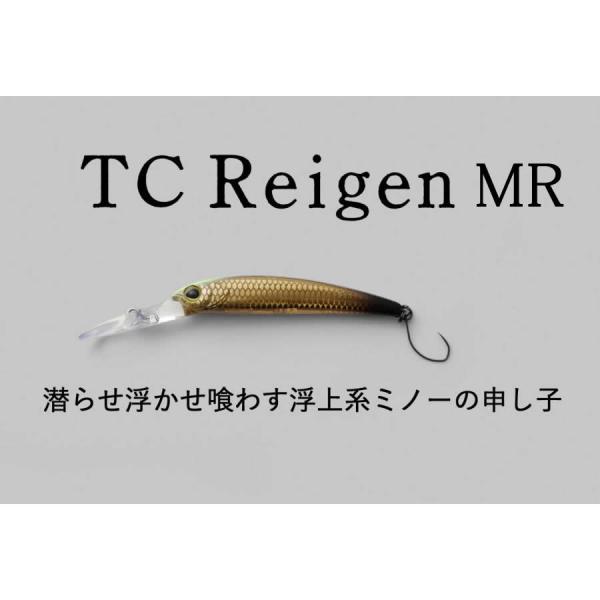 JACKALL（ジャッカル） ティモン TCレイゲンReigen MR : ウインズ