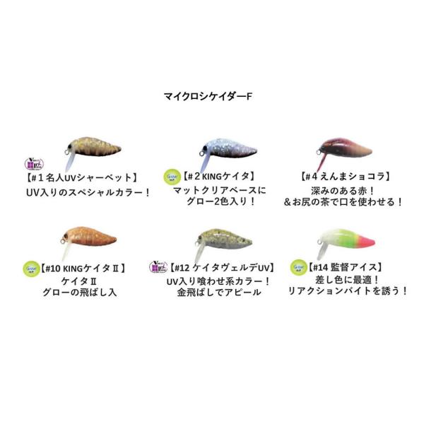elfin タックルハウス X オフィスユーカリ マイクロシケイダーF