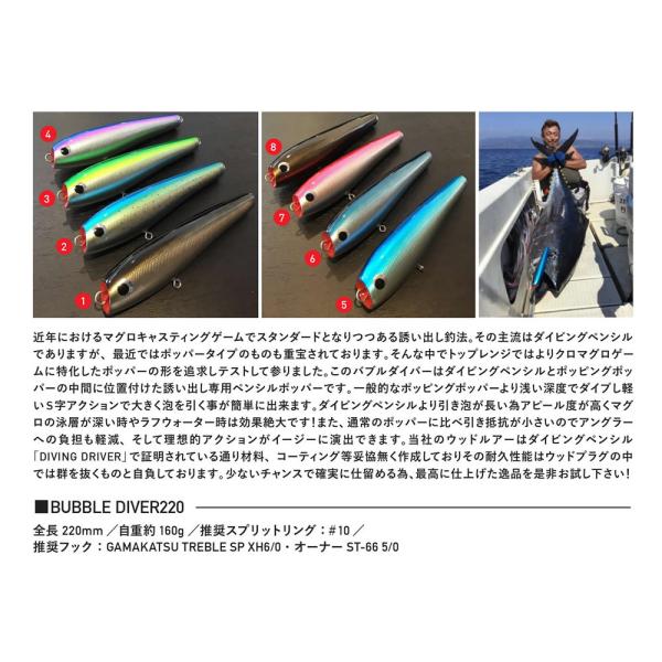 windsweb2_toprange-bubbelediver220