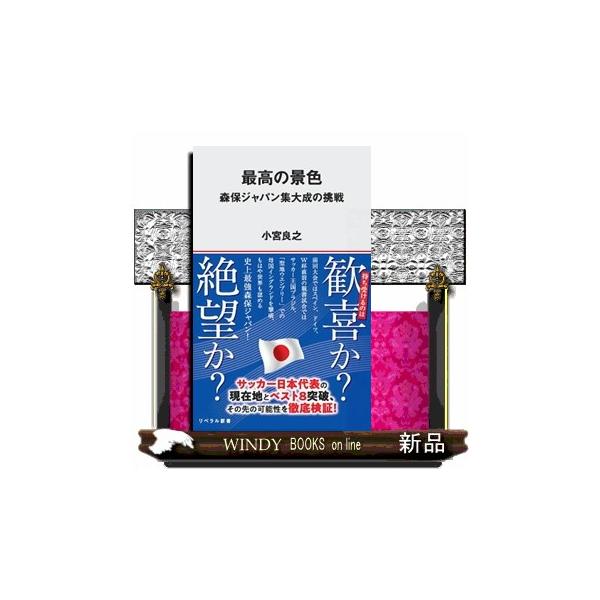 最高の景色 森保ジャパン集大成の挑戦 リベラル新書