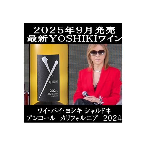 2025年9月24日、ついにY by YOSHIKI最新ヴィンテージが発売です。X JAPANおよび 、THE LAST ROCKSTARSのリーダーで作詞、作曲、編曲家、そして音楽プロデューサーでもあるYOSHIKIが、多くの方々に気軽に...