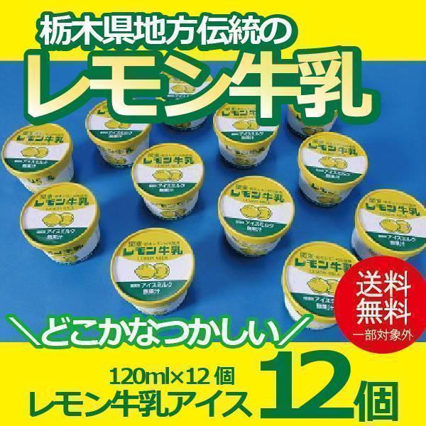 お歳暮 御歳暮 ギフト アイスクリーム 送料無料 {レモン牛乳アイス12個セット} 冷凍便『YWS』