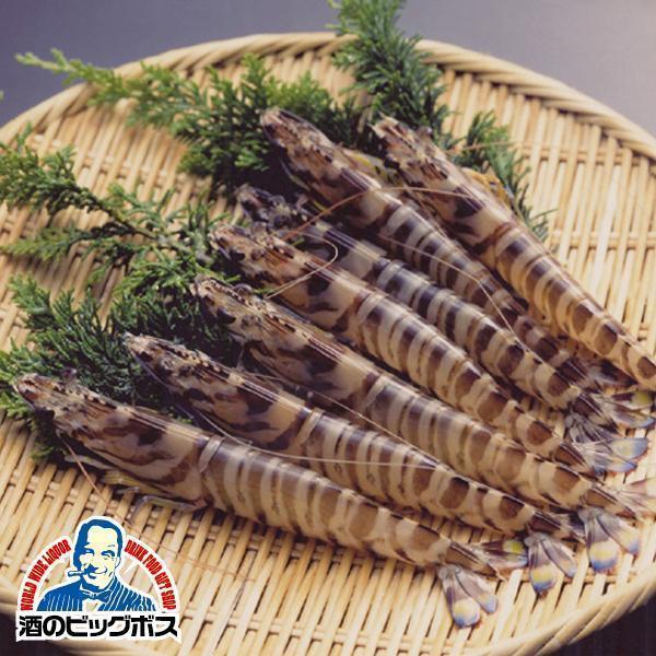 父の日 御中元 お中元 ギフト 産地直送 Kmj 国産 車エビ ギフト Gift 送料無料 天草産車海老 活〆生冷凍 Ke Apaproduction Fr