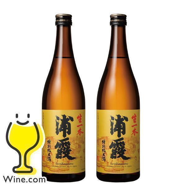 浦霞 2本 日本酒 純米酒 送料無料 生一本 特別純米酒 720ml×2本(002 