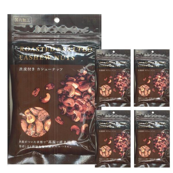 GEAR（ロッテ） カシューナッツ 送料無料 栗山商事 渋皮付き 100g×5袋