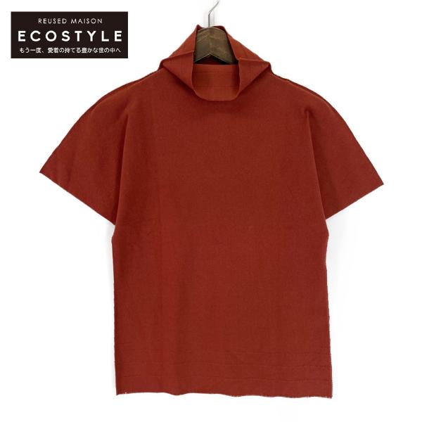 ISSEY MIYAKE イッセイミヤケ テラコッタ IM73KK932 半袖