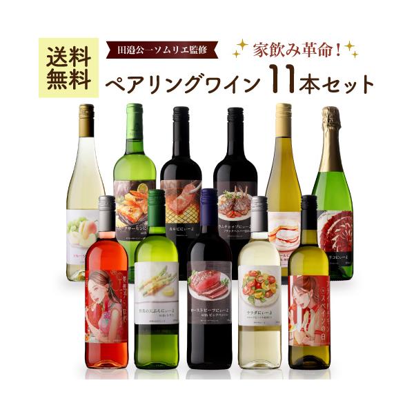 訳あり】送料無料【田邉ソムリエ監修】家飲み革命！ ペアリングワイン