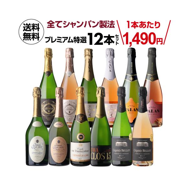 (1,490円/本 送料無料) 全てシャンパーニュと同製法！プレミアム特選スパークリングワイン12本 66弾 浜運A 送料無料 手土産 お祝い ギフト