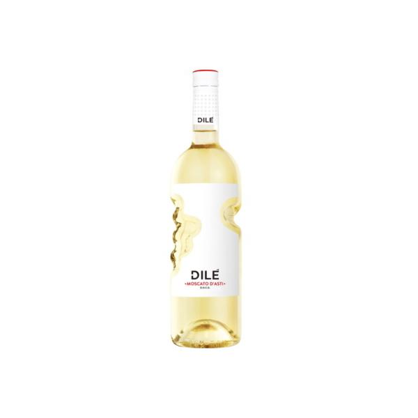 fB[ XJ[gE_XeB 2024 Te (C^AFA) (Ì)