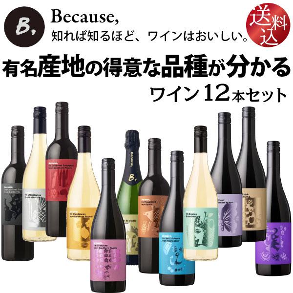 ビコーズワイン【 ワイン入門 】有名産地の得意な品種が分かる ワイン