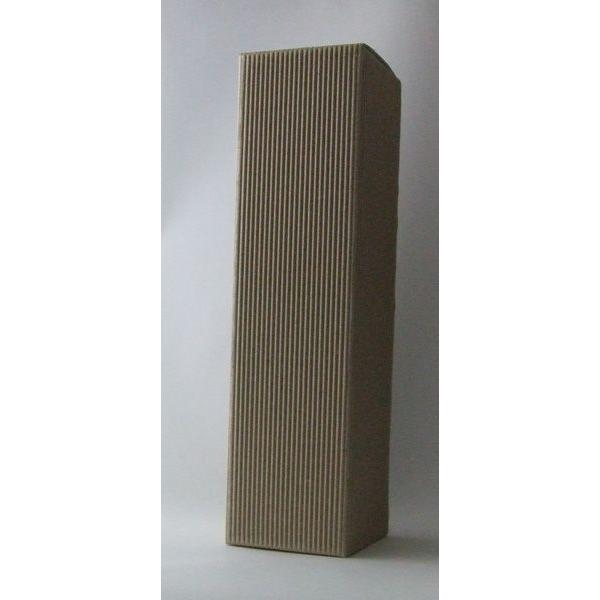 C{g1{pMtgiВi\jiCƈꏏɂ߂Bj