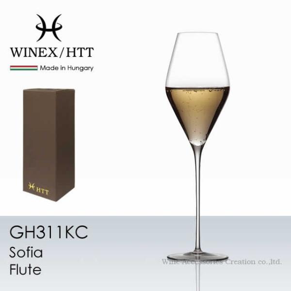 WINEX/HTT \tBA t[g VpOX Pr Ki GH311KC