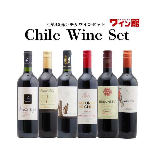 ワイン セット 【送料無料】 ＜第45弾＞ チリワイン6本セット（赤6本