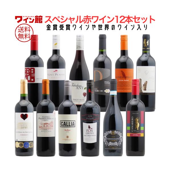 赤ワイン色々　12本セット 送料無料 厳選！金賞受賞ボルドー 赤ワイン 12本セット 第50弾 750ml×12