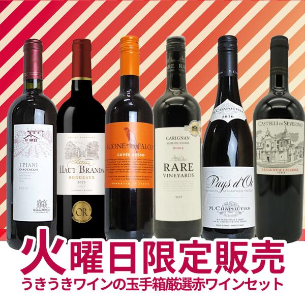 超限定】第二弾うきうきワイン究極火曜日6本セット（赤6本）送料