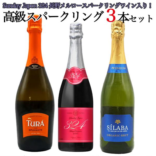 スパークリングワイン 送料無料】Sunday Japon 324 長野メルロースパークリングワインが1本